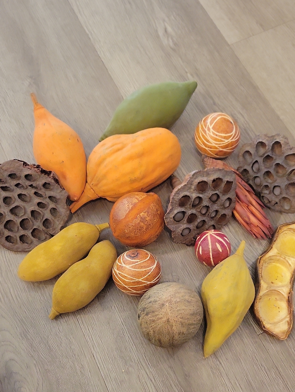 Decorative Dried Pod and Ball Mix - Yellow & Orange Home Accent